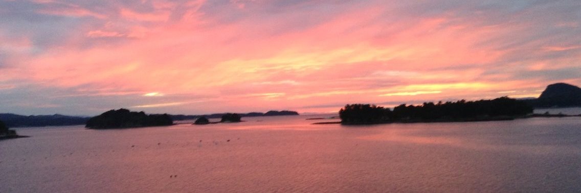 2_far_west🦊 banner