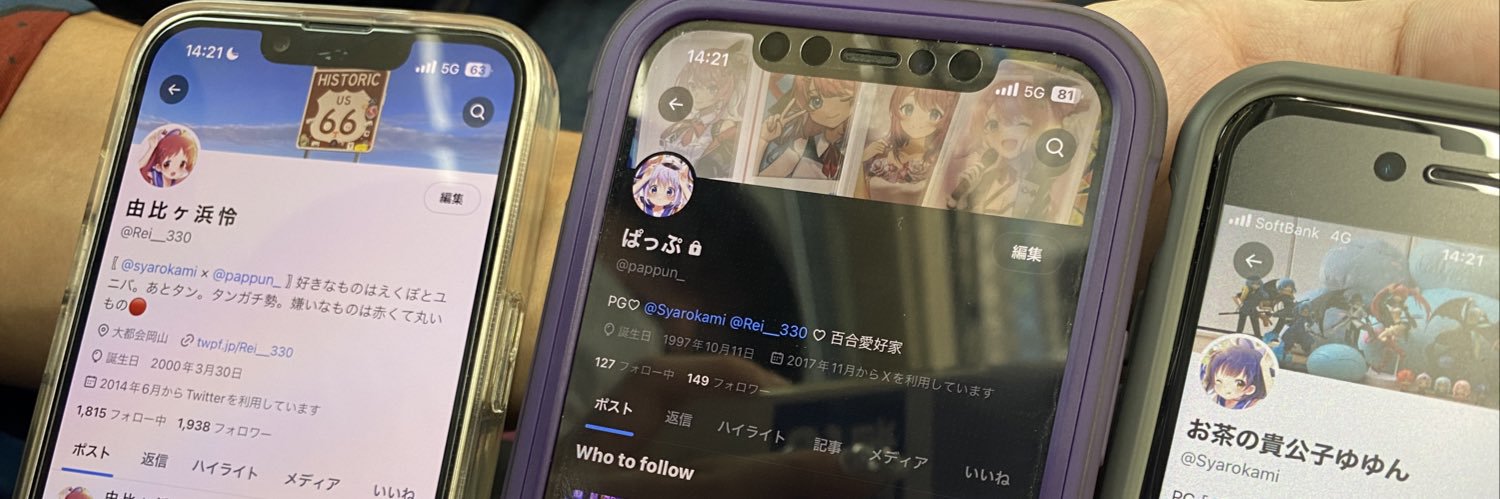 Syarokami's profile banner image
