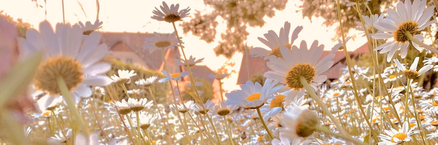 IFreymond's profile banner image