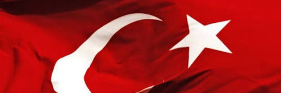 teslatasarim's profile banner image