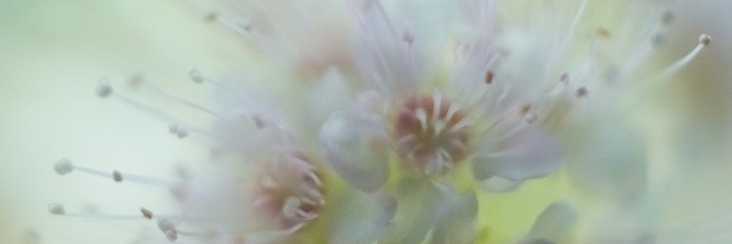 Yacku4400's profile banner image