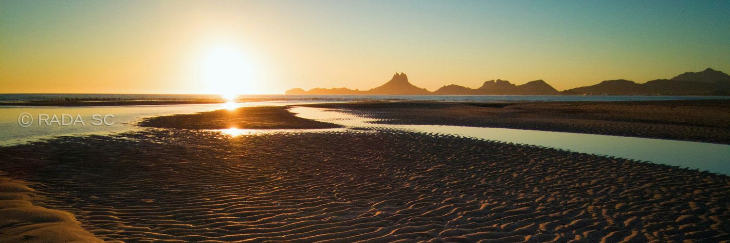 Big Markus🇲🇽 banner