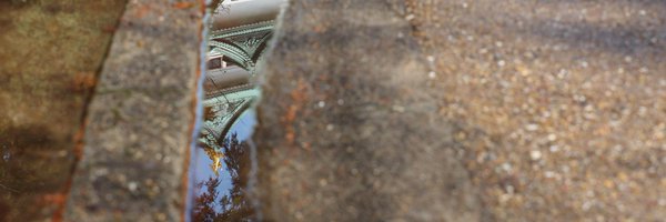 summer_east Profile Banner