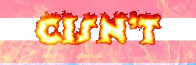 derpy1995's profile banner image