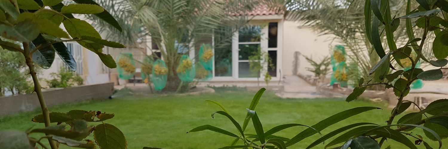 fahdams's profile banner image