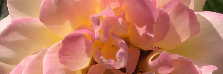 _anyajackson's profile banner image