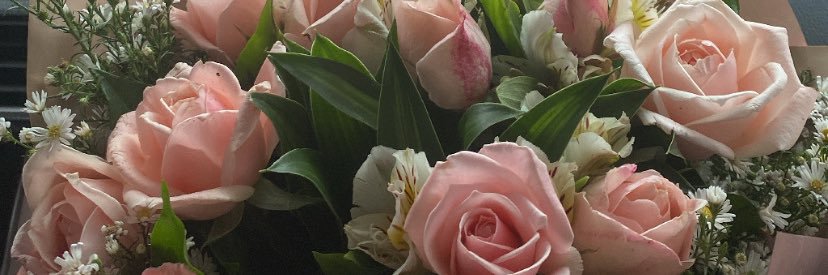 celeste 💖 banner