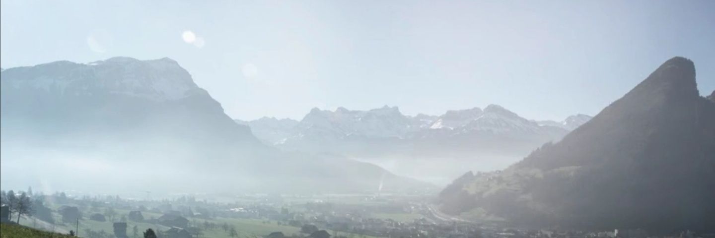 Jungfreisinnige Schwyz banner