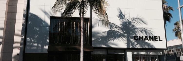 shaforostovaaa's profile banner image
