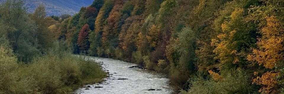 yumshtaaa's profile banner image