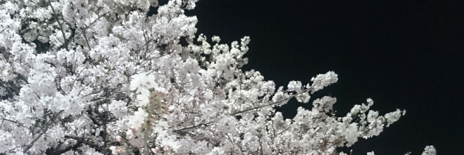 miisukechang's profile banner image