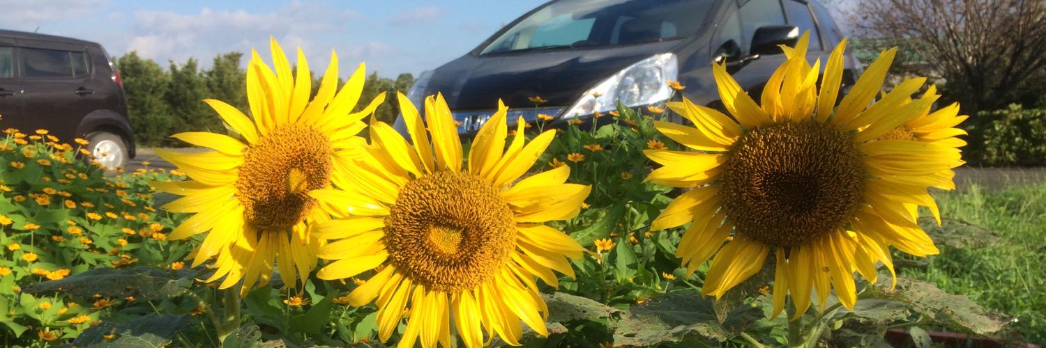 角智宏@教育×障害福祉×キャリアコンサルタント banner