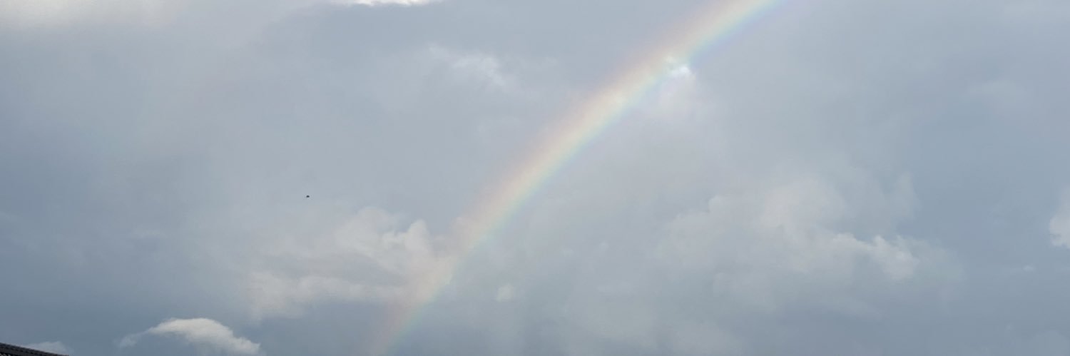 riribe17's profile banner image