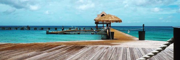 JoGraha18206502 Profile Banner