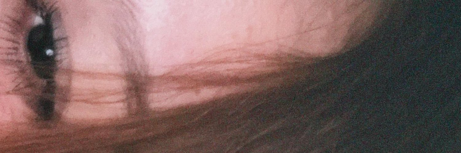 Alanís banner