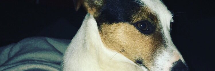 gilbert_mathyi's profile banner image