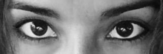 sandra ferrari banner