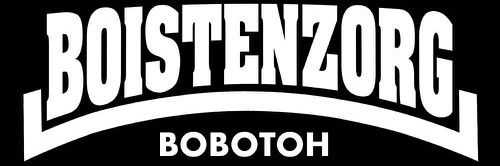 BOISTENZORG's profile banner image