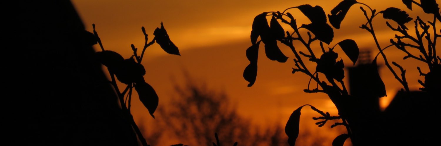 RakiAdu's profile banner image