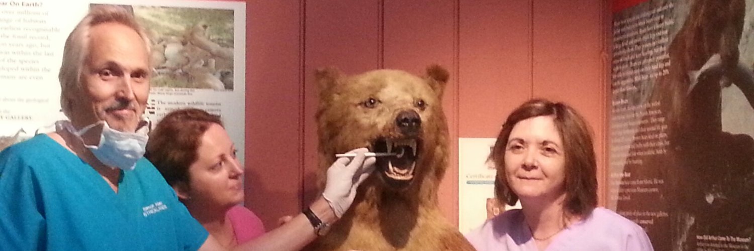 Arthur_the_bear's profile banner image