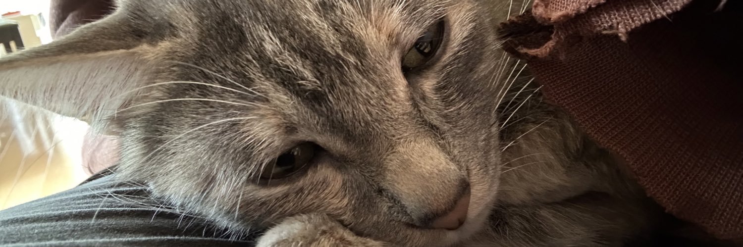 れーがんのパチモン banner