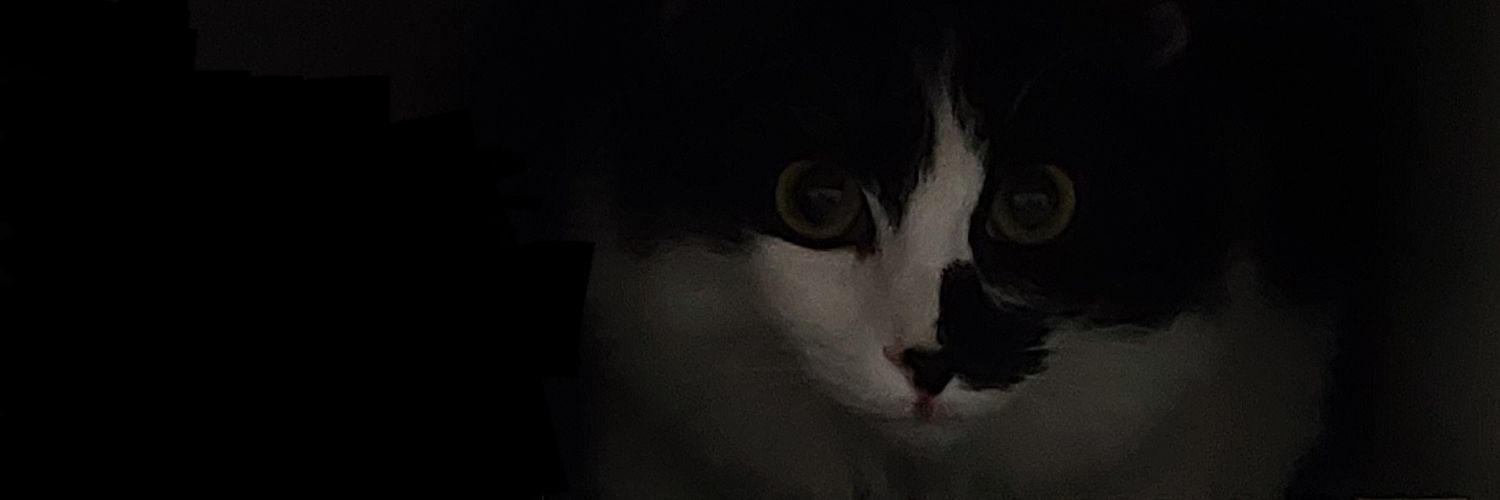 forabikarbona's profile banner image