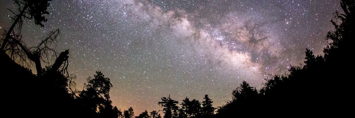 caeruleuscya's profile banner image