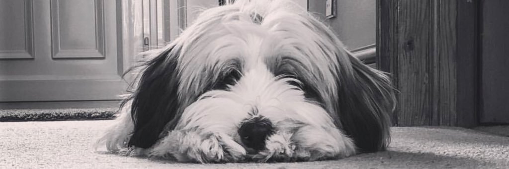 CJBerryman's profile banner image