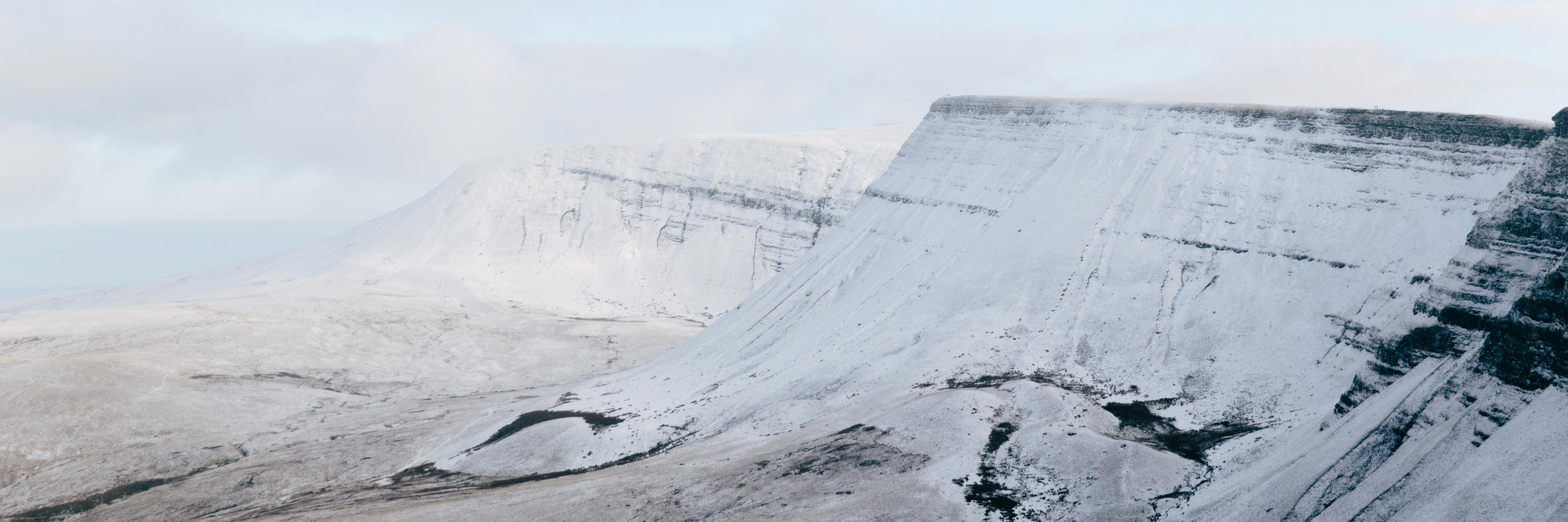 Fox and Favour banner