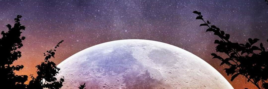 MagmaZzZ's profile banner image