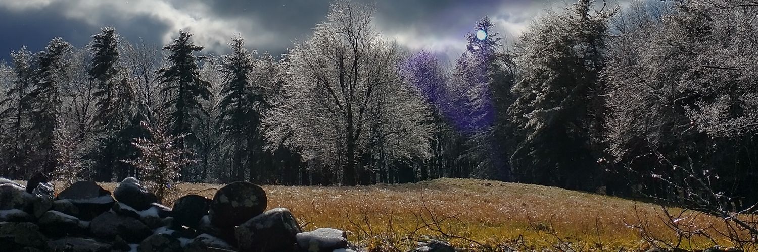 miramoo97's profile banner image