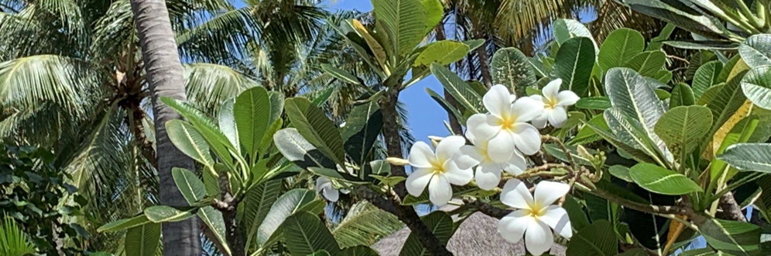 RakayaB's profile banner image