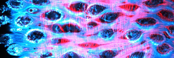 CmbUtsw Profile Banner
