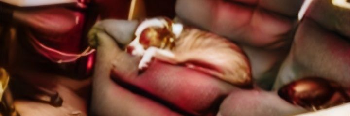 Mickiyates70's profile banner image