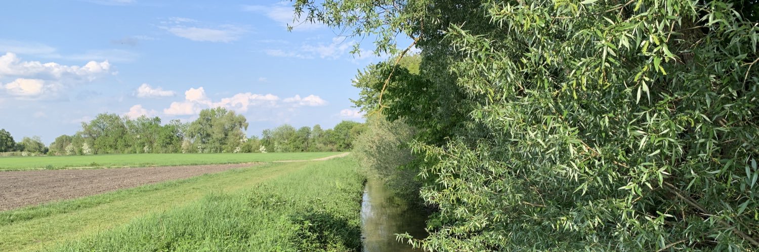 CortexAlpha banner