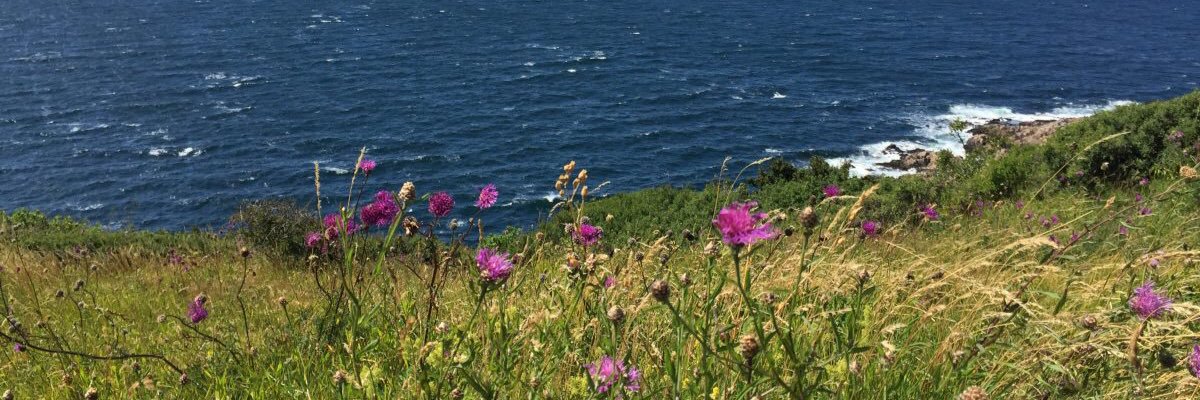 cooltoch's profile banner image