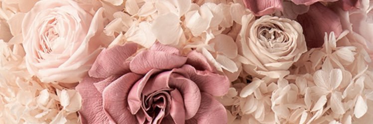 vanessavalntina's profile banner image