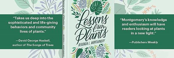 PlantLessons Profile Banner