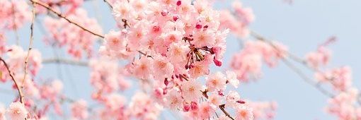 _mlr16's profile banner image