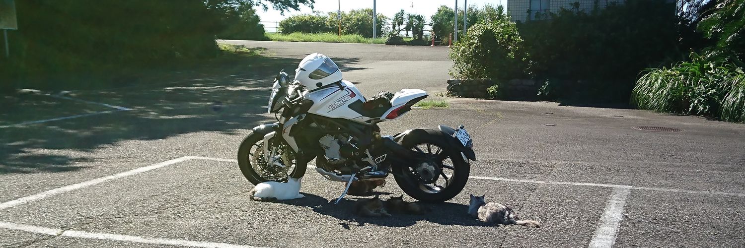 brutale800ds's profile banner image