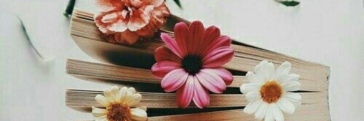 nomie_muff's profile banner image