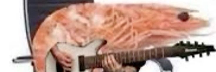 rtrdrkr's profile banner image
