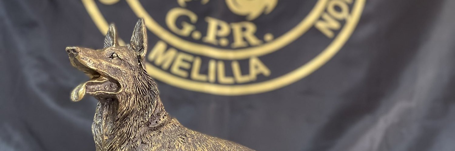 Agualema1's profile banner image