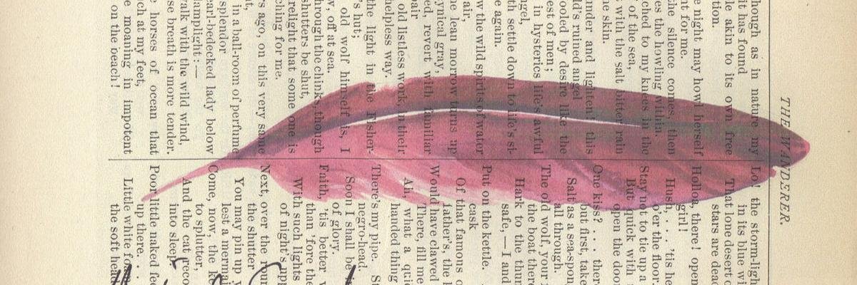 iaiette_'s profile banner image
