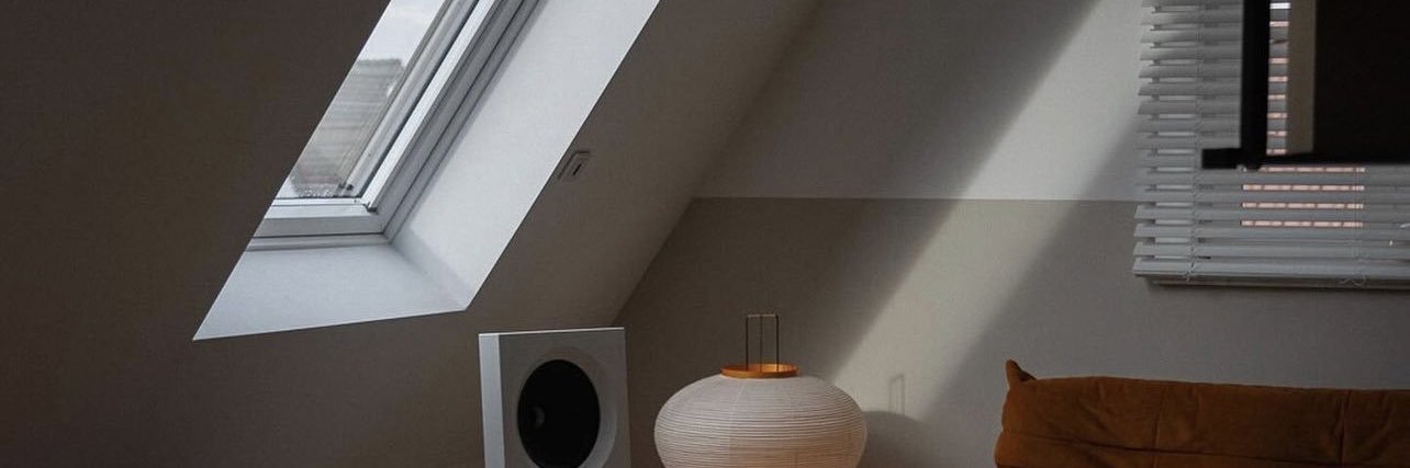 Alexandra Sereda banner