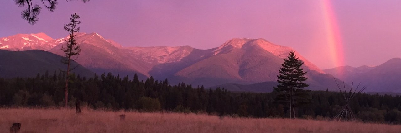 CollaborKate's profile banner image