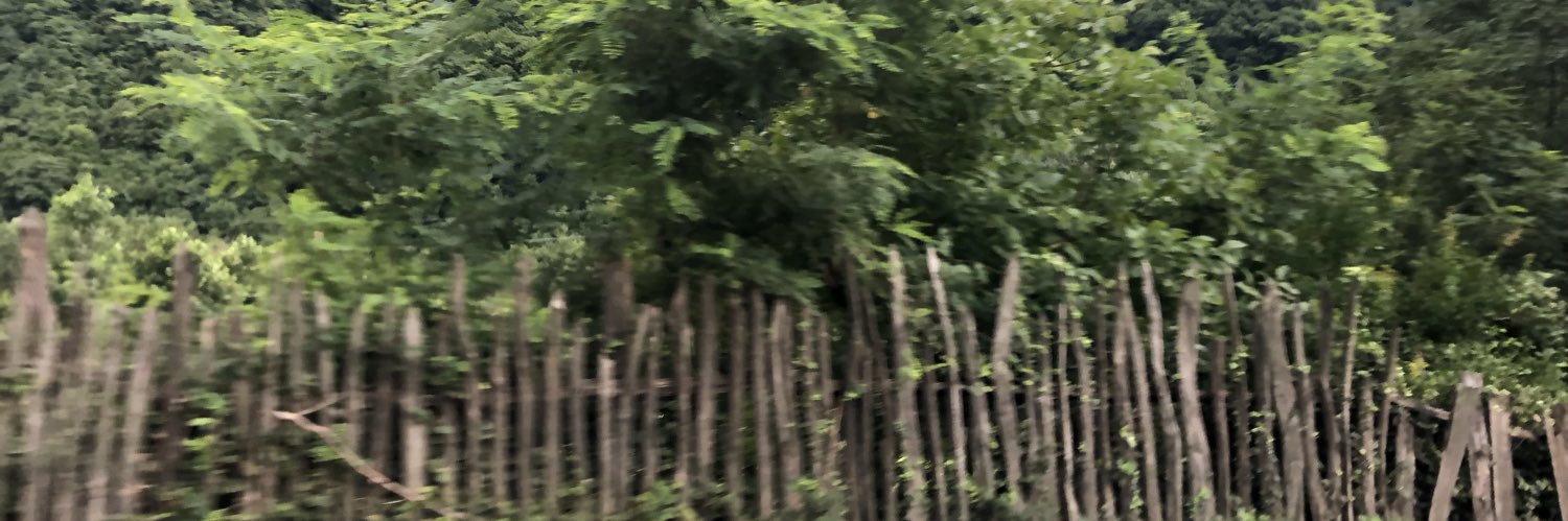 Whome99's profile banner image