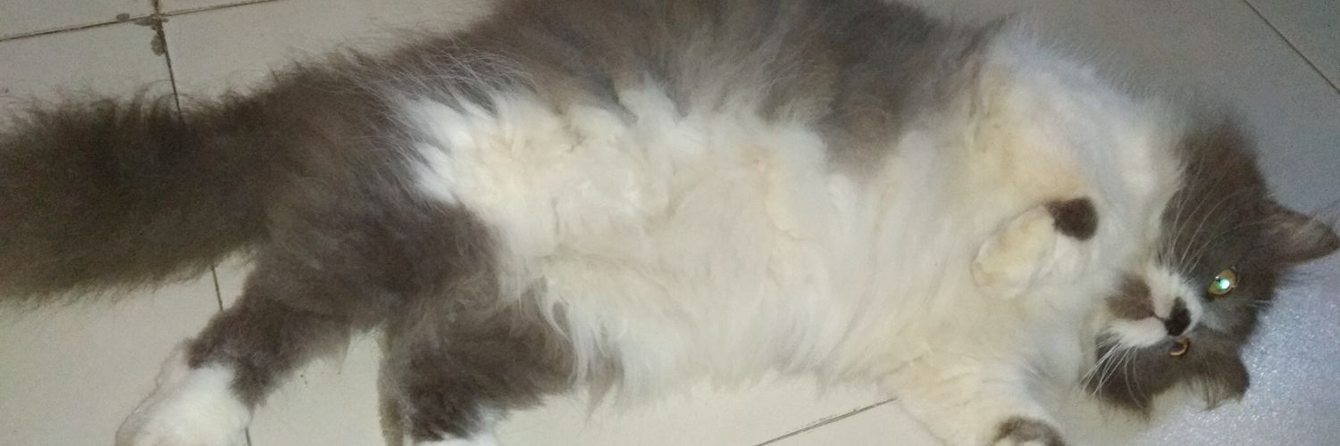 nster___'s profile banner image