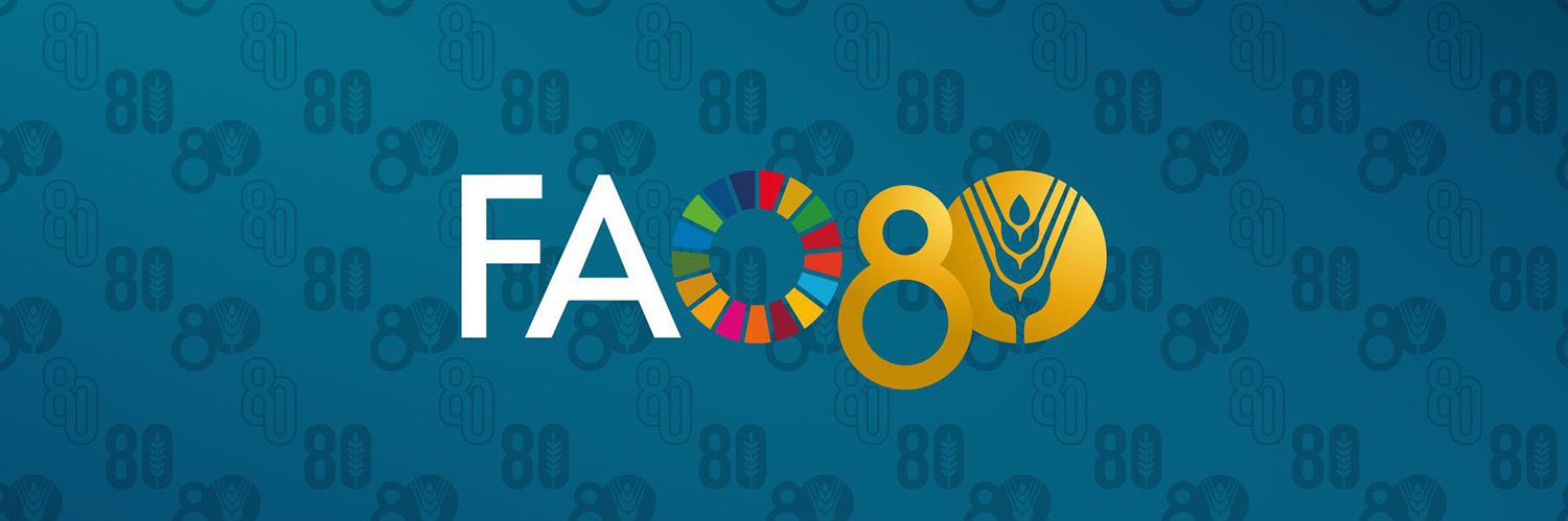 Ayşegül Selışık, PhD banner