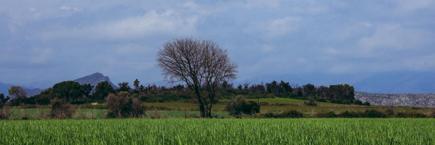 LiaMestre's profile banner image